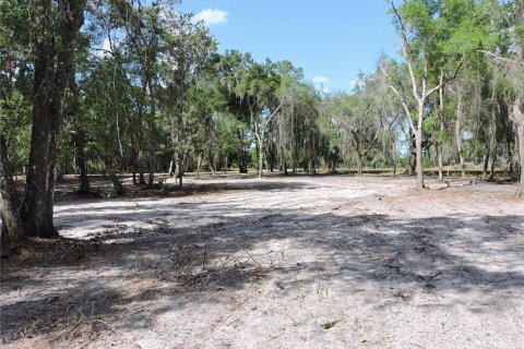 Land in Crescent City, Florida № 2138737