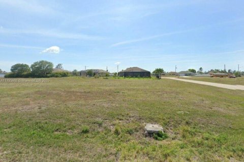 Land in Cape Coral, Florida № 1863880 - photo 3