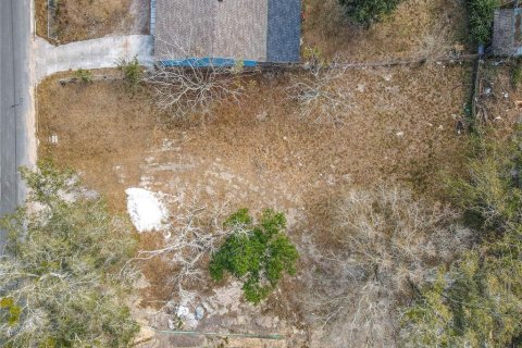 Land in Lake Wales, Florida № 2229631 - photo 7