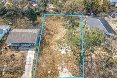 Land in Lake Wales, Florida № 2229631 - photo 6