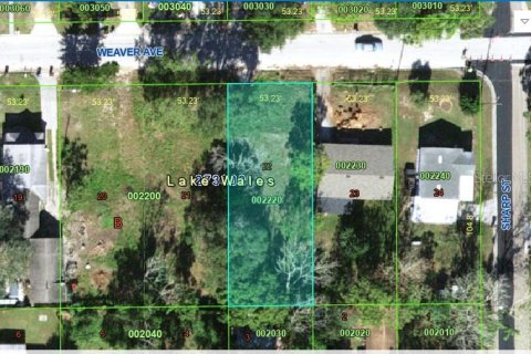 Land in Lake Wales, Florida № 2229631 - photo 2