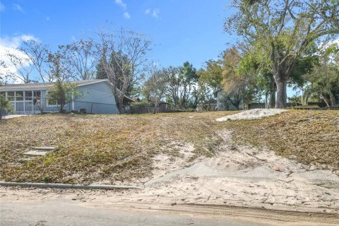 Land in Lake Wales, Florida № 2229631