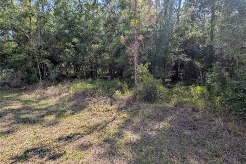 Land in Dunnellon, Florida № 2158980 - photo 4