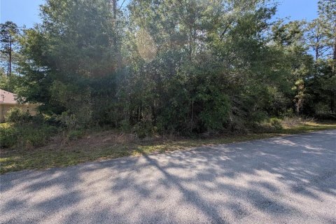 Land in Dunnellon, Florida № 2158980 - photo 7