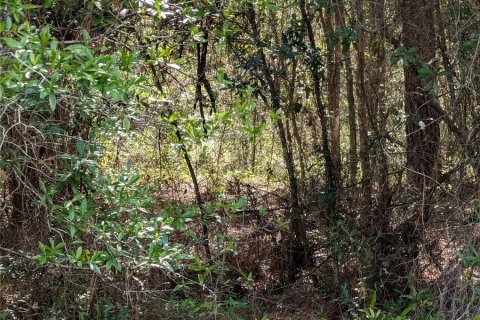 Land in Dunnellon, Florida № 2158980