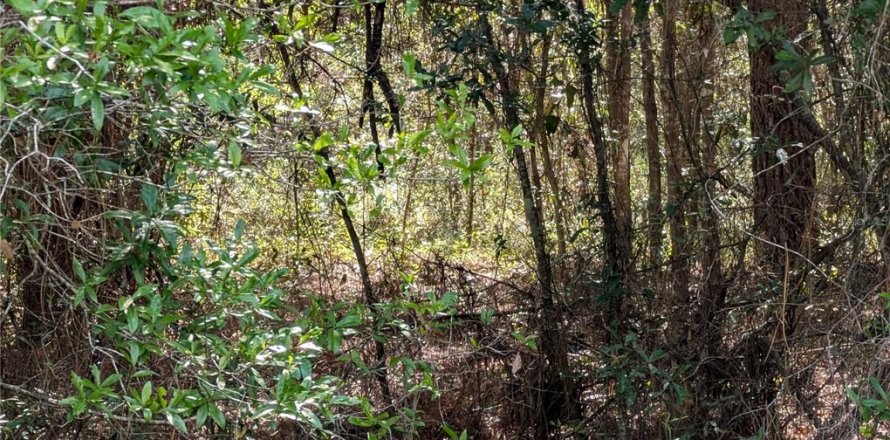 Land in Dunnellon, Florida № 2158980