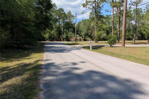 Land in Dunnellon, Florida № 2158980 - photo 3