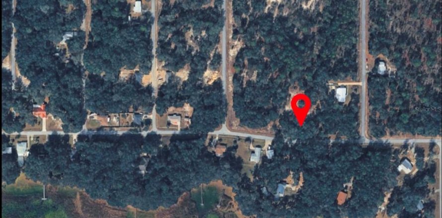 Terrain à Dunnellon, Floride № 2209538