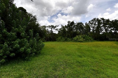 Land in Osprey, Florida № 2136325