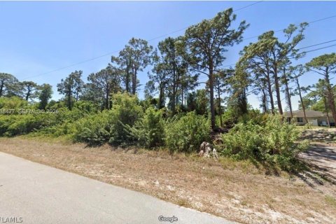 Land in Lehigh Acres, Florida № 2086388 - photo 5