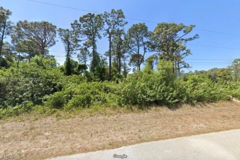 Land in Lehigh Acres, Florida № 2086388 - photo 3