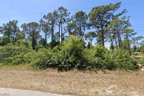 Land in Lehigh Acres, Florida № 2086388 - photo 4