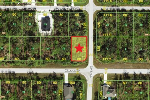 Land in Port Charlotte, Florida № 2164798