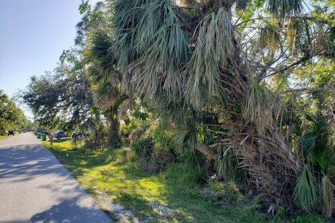 Land in Port Charlotte, Florida № 2228860 - photo 2