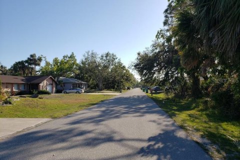 Land in Port Charlotte, Florida № 2228860 - photo 3
