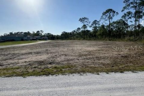 Land in Punta Gorda, Florida № 2228933 - photo 4