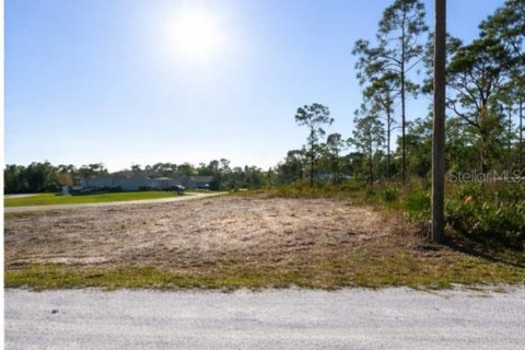 Land in Punta Gorda, Florida № 2228933 - photo 5