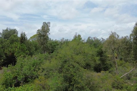 Terreno en venta en Port Charlotte, Florida № 2165305 - foto 6