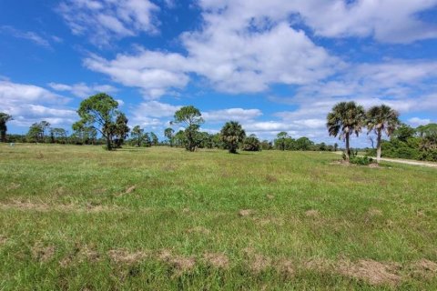 Land in Placida, Florida № 2161562 - photo 5