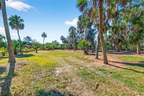 Terreno en venta en Ruskin, Florida № 2123698 - foto 10