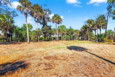 Terreno en venta en Ruskin, Florida № 2123698 - foto 11