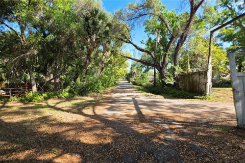 Commercial property in Tampa, Florida 134.62 sq.m. № 2166751 - photo 10