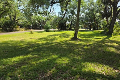 Commercial property in Tampa, Florida 134.62 sq.m. № 2166751 - photo 13