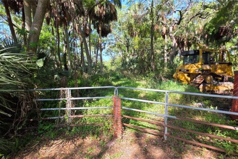 Commercial property in Tampa, Florida 134.62 sq.m. № 2166751 - photo 9