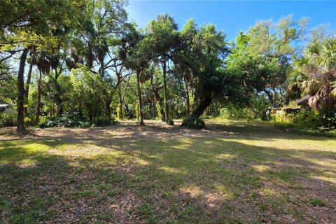 Commercial property in Tampa, Florida 134.62 sq.m. № 2166751 - photo 12