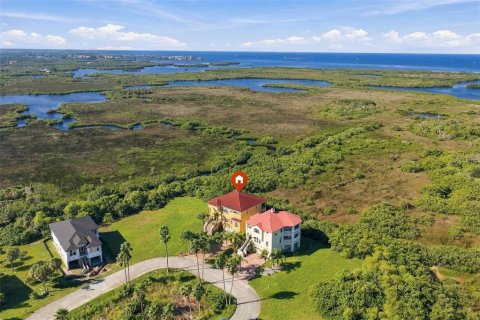 Villa ou maison à louer à Port Richey, Floride: 4 chambres, 392.23 m2 № 2416872 - photo 3