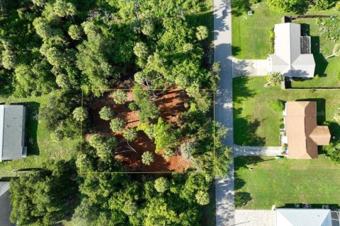 Terreno en venta en Port Charlotte, Florida № 2163999 - foto 30