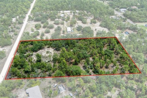 Land in Dunnellon, Florida № 1750505 - photo 16
