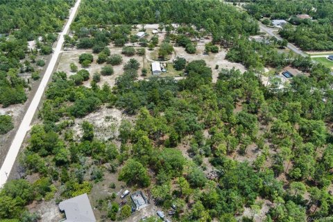 Land in Dunnellon, Florida № 1750505 - photo 17