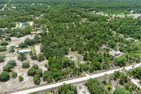 Land in Dunnellon, Florida № 1750505 - photo 8