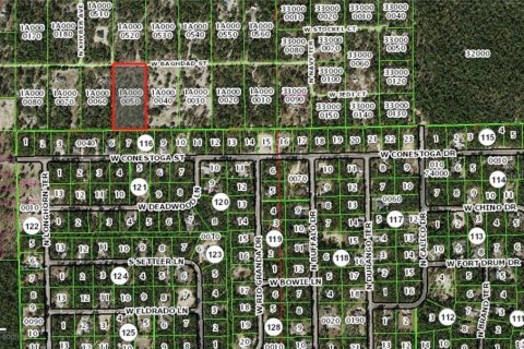 Land in Dunnellon, Florida № 1750505 - photo 5