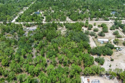 Land in Dunnellon, Florida № 1750505 - photo 10