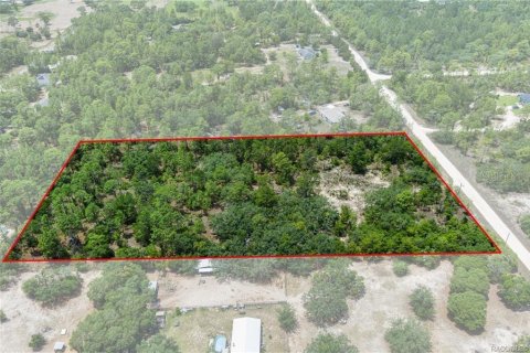 Land in Dunnellon, Florida № 1750505 - photo 14