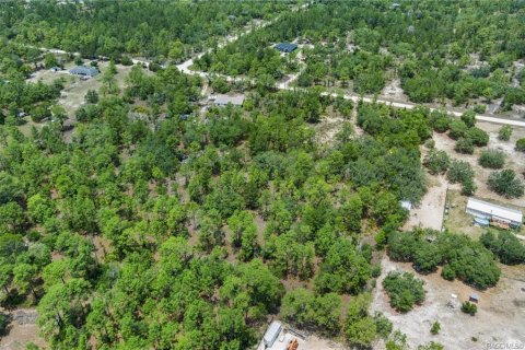 Land in Dunnellon, Florida № 1750505 - photo 11