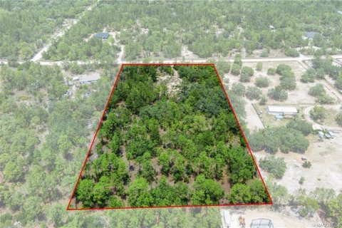 Land in Dunnellon, Florida № 1750505 - photo 9