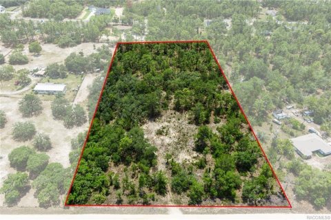 Land in Dunnellon, Florida № 1750505 - photo 3