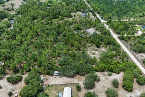 Land in Dunnellon, Florida № 1750505 - photo 15