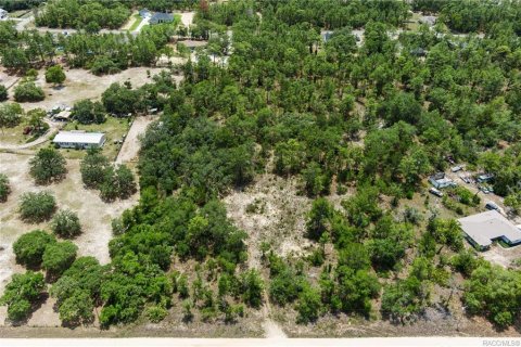 Land in Dunnellon, Florida № 1750505 - photo 2