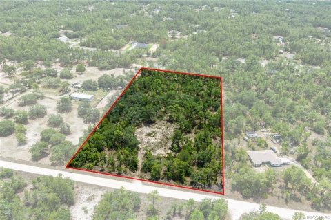 Land in Dunnellon, Florida № 1750505 - photo 1