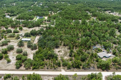 Land in Dunnellon, Florida № 1750505 - photo 4