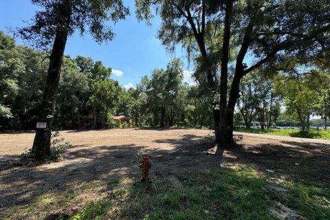 Terrain à vendre à Ocala, Floride № 2195170 - photo 4