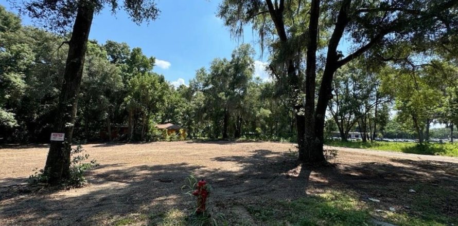 Terrain à Ocala, Floride № 2195170