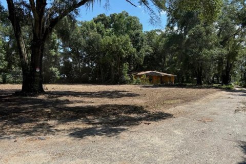 Terrain à vendre à Ocala, Floride № 2195170 - photo 8