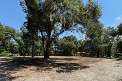 Terrain à vendre à Ocala, Floride № 2195170 - photo 2