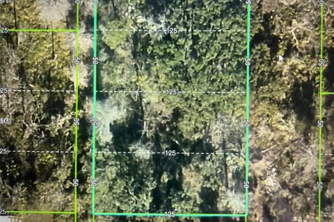 Land in Spring Hill, Florida № 2212617 - photo 2