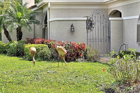 Casa en alquiler en Sarasota, Florida, 3 dormitorios, 181.25 m2 № 1602861 - foto 7